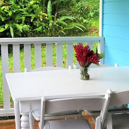 Chez Ophelia Cottage Apartments Roseau Luaran gambar